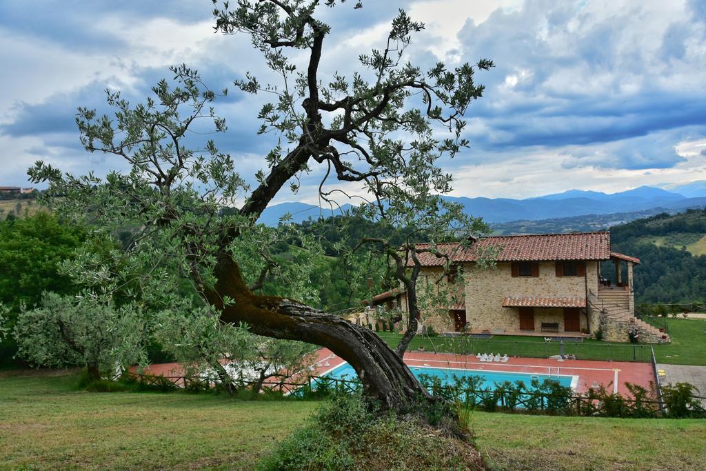Agriturismo Isola Verde SantʼUrbano エクステリア 写真