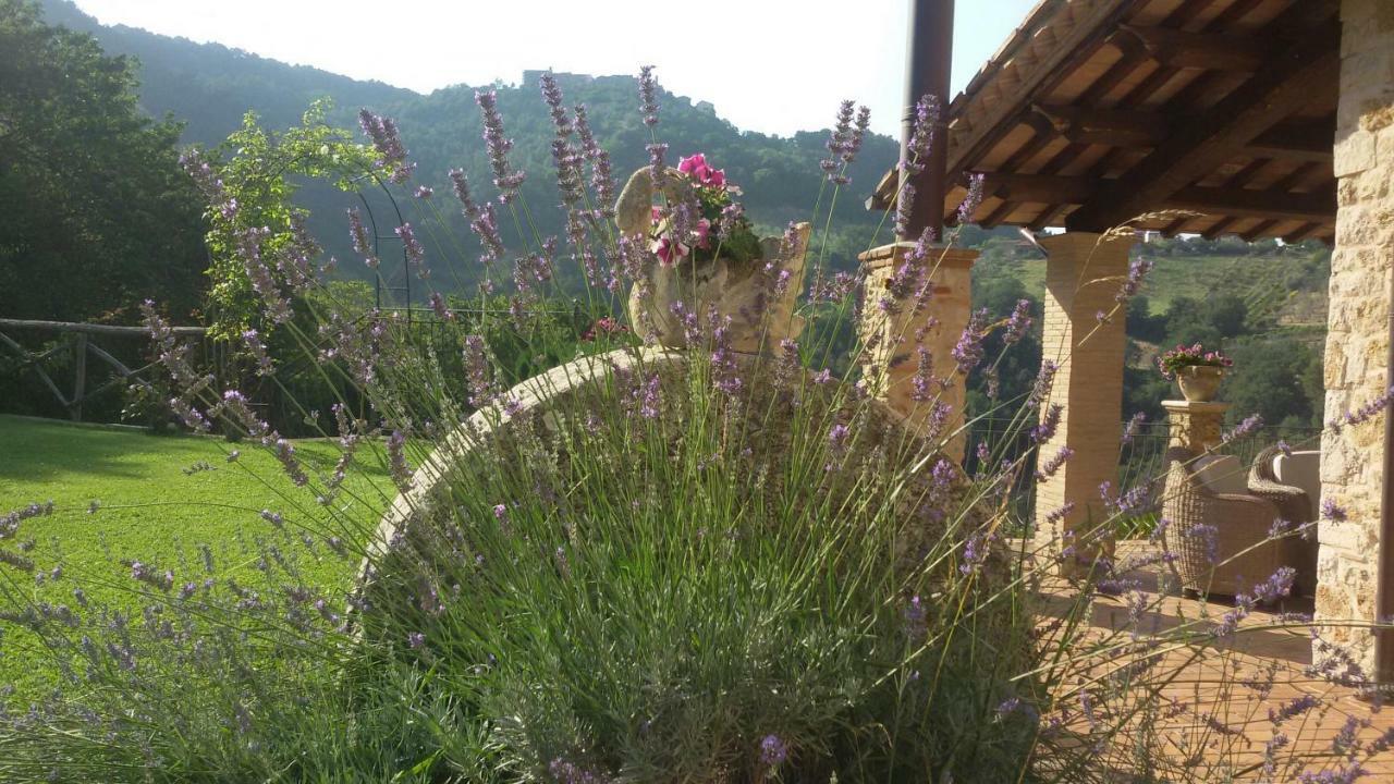 Agriturismo Isola Verde SantʼUrbano エクステリア 写真