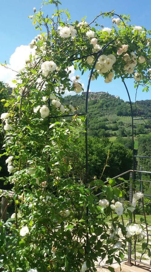 Agriturismo Isola Verde SantʼUrbano エクステリア 写真