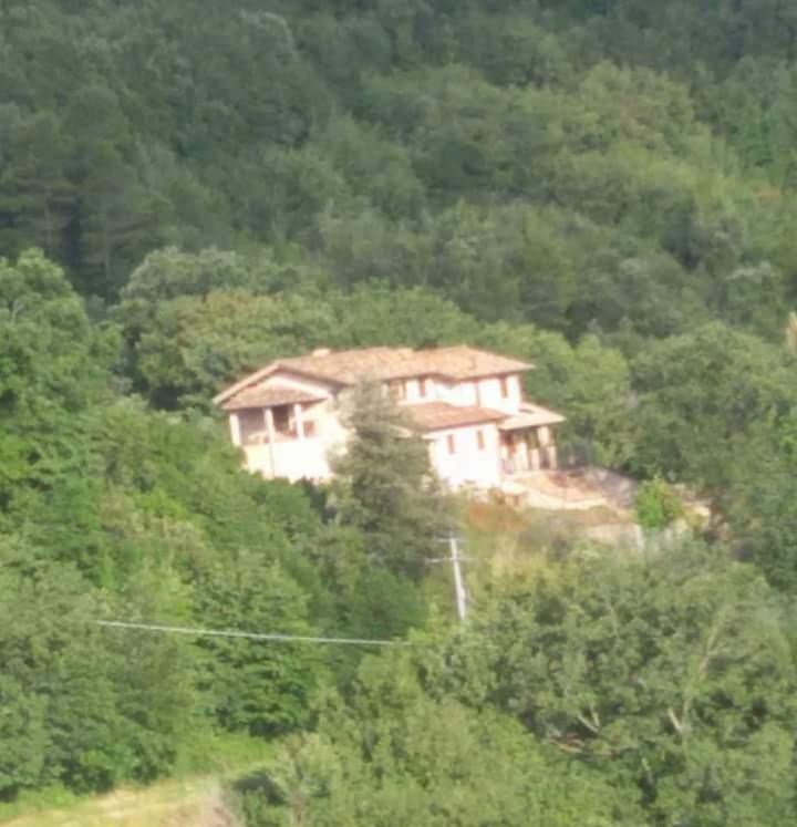 Agriturismo Isola Verde SantʼUrbano エクステリア 写真