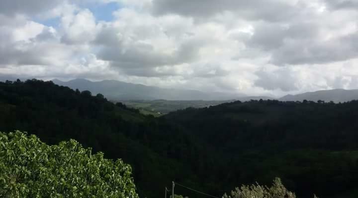 Agriturismo Isola Verde SantʼUrbano エクステリア 写真