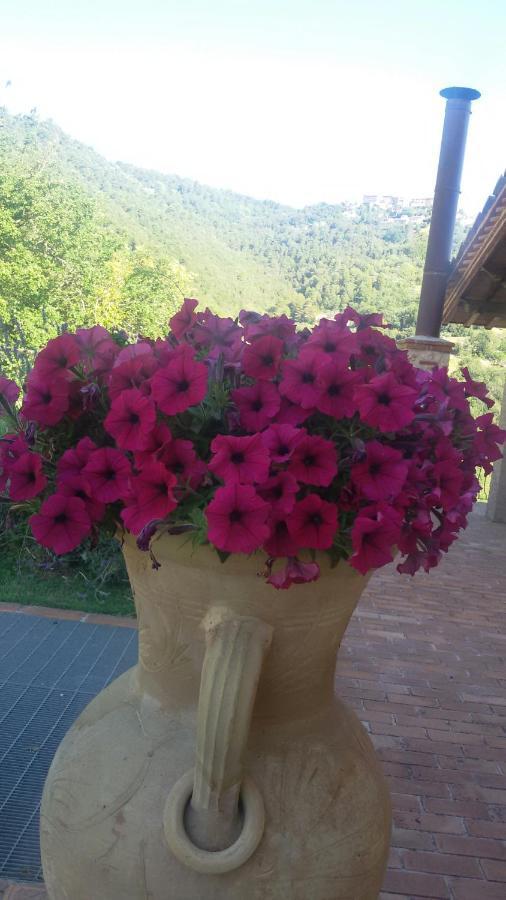 Agriturismo Isola Verde SantʼUrbano エクステリア 写真