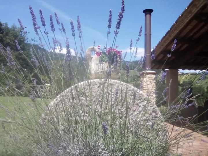 Agriturismo Isola Verde SantʼUrbano エクステリア 写真