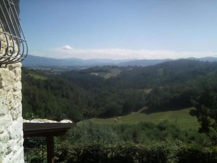 Agriturismo Isola Verde SantʼUrbano エクステリア 写真